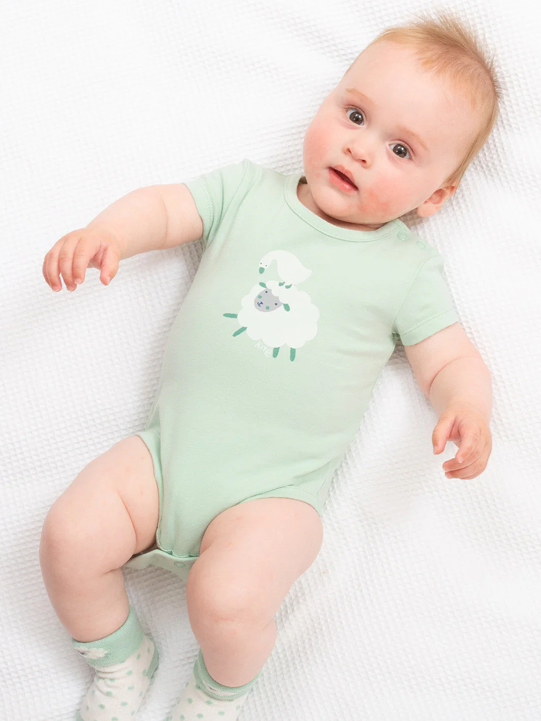 Baa Baa Quack Body - Image 2