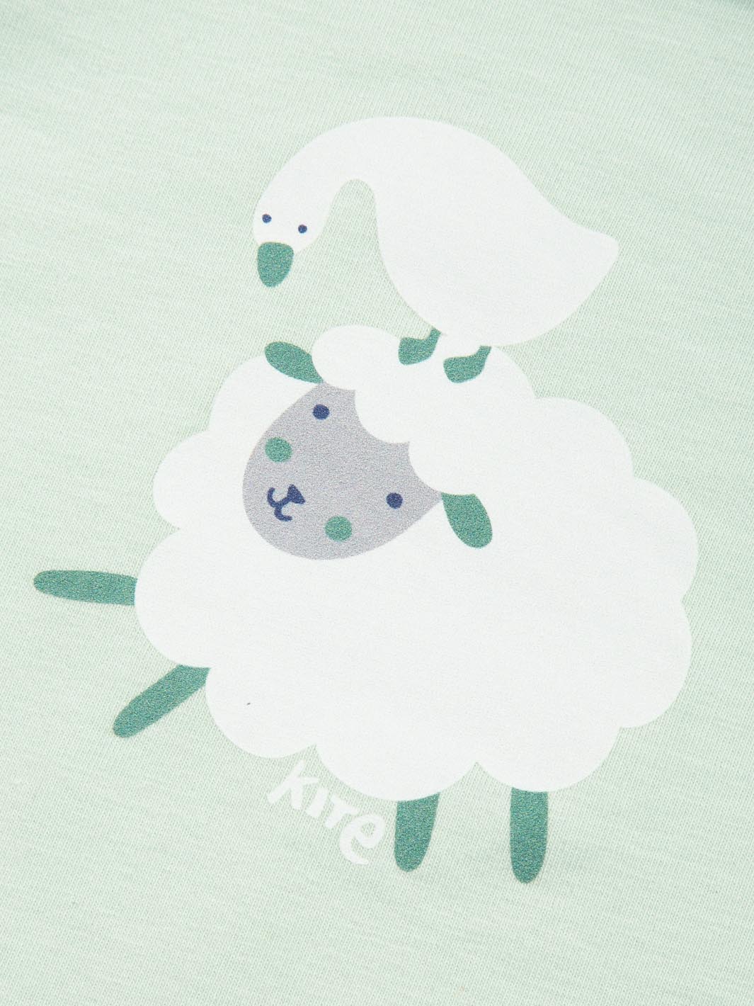 Baa Baa Quack Body - Image 5