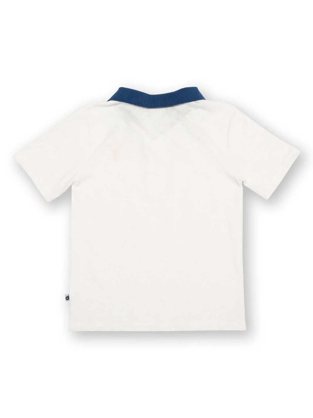 Coco Palm Polo Shirt - Image 4