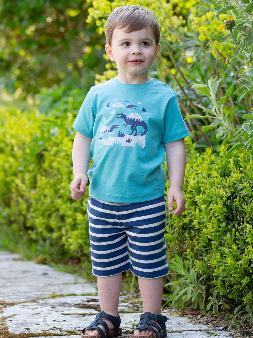 Corfe Shorts Navy - Image 2