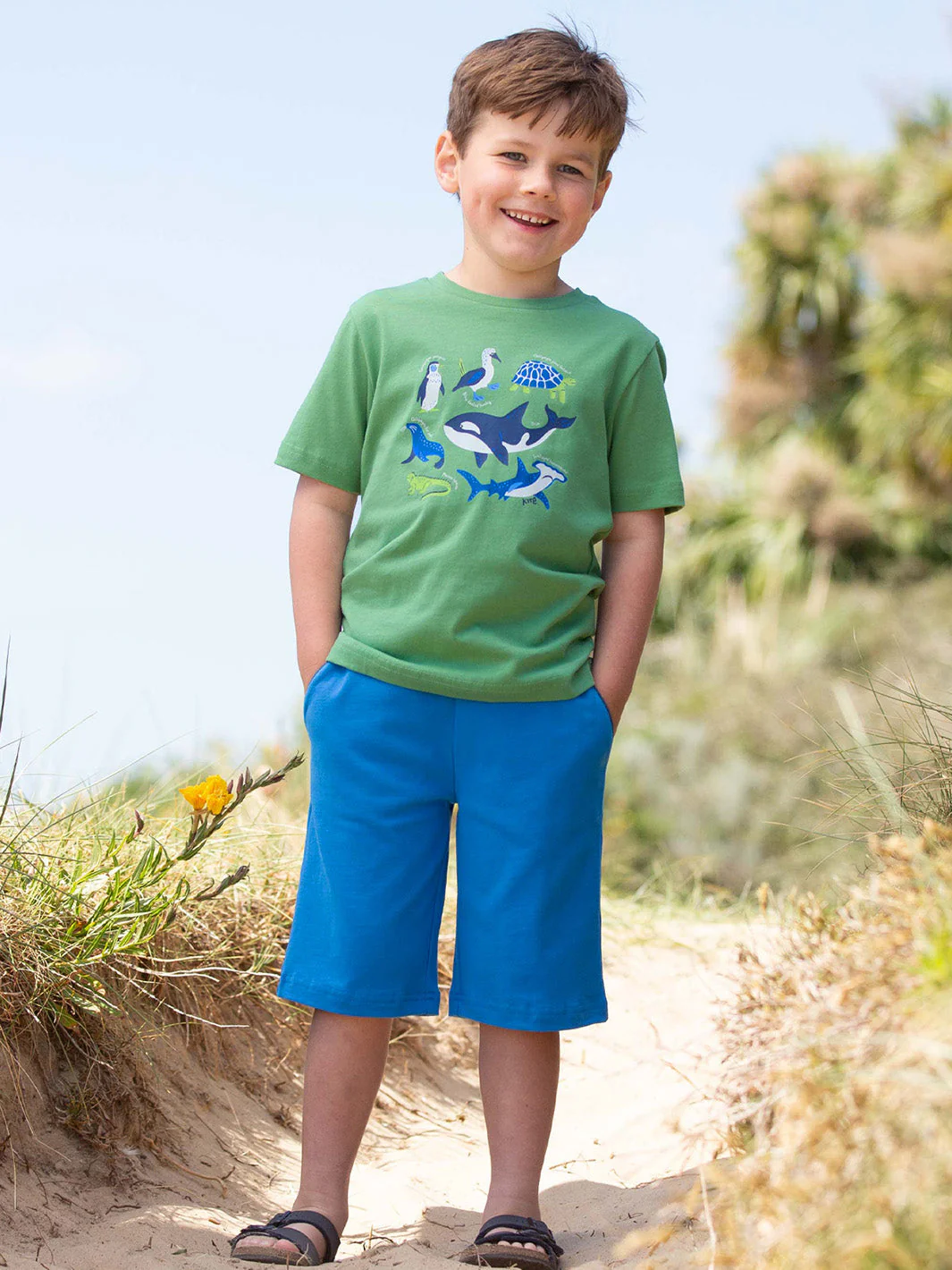 Corfe Shorts Pfauenblau - Image 3
