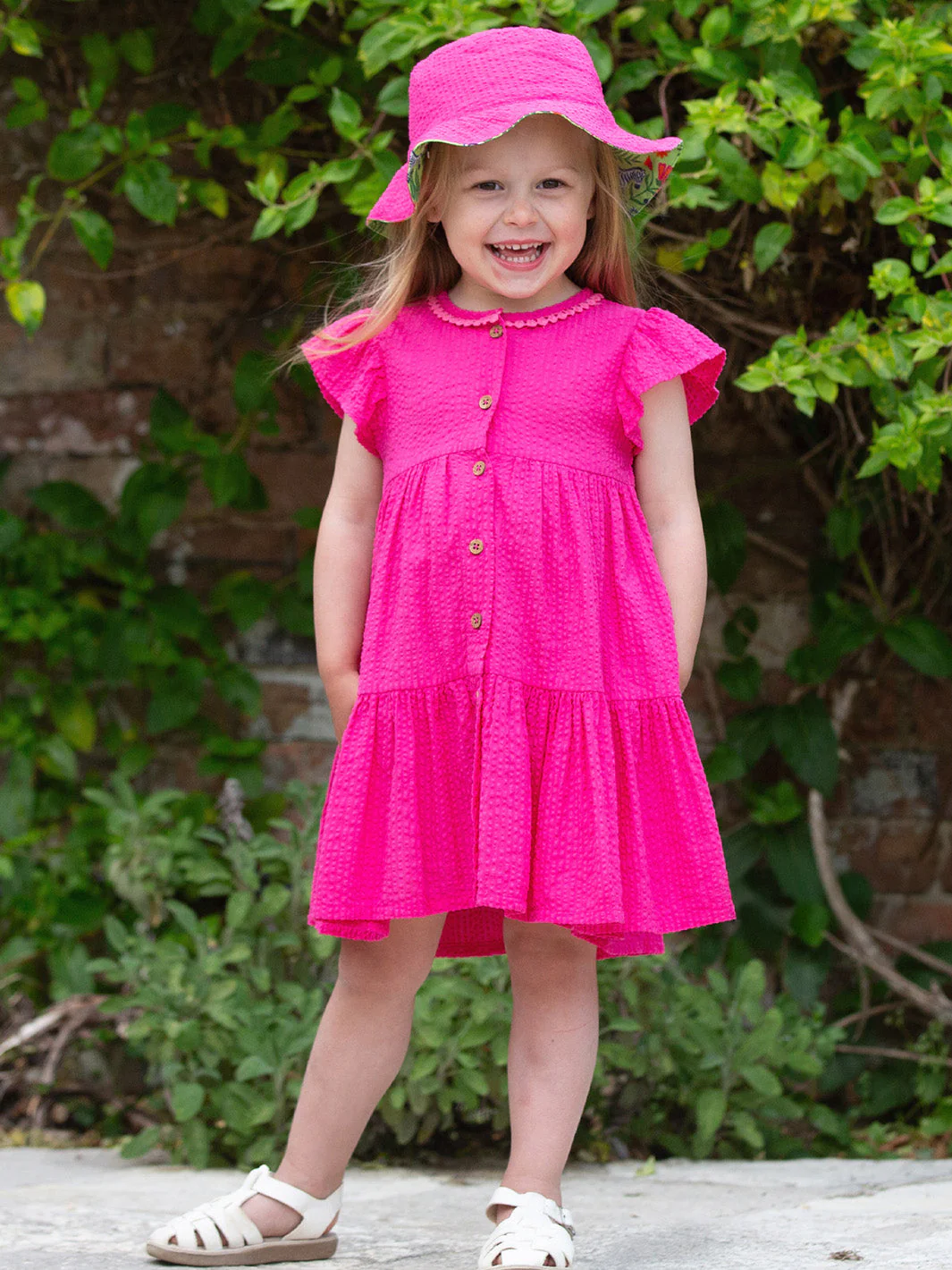 Dazzle Sonnenhut - Image 3