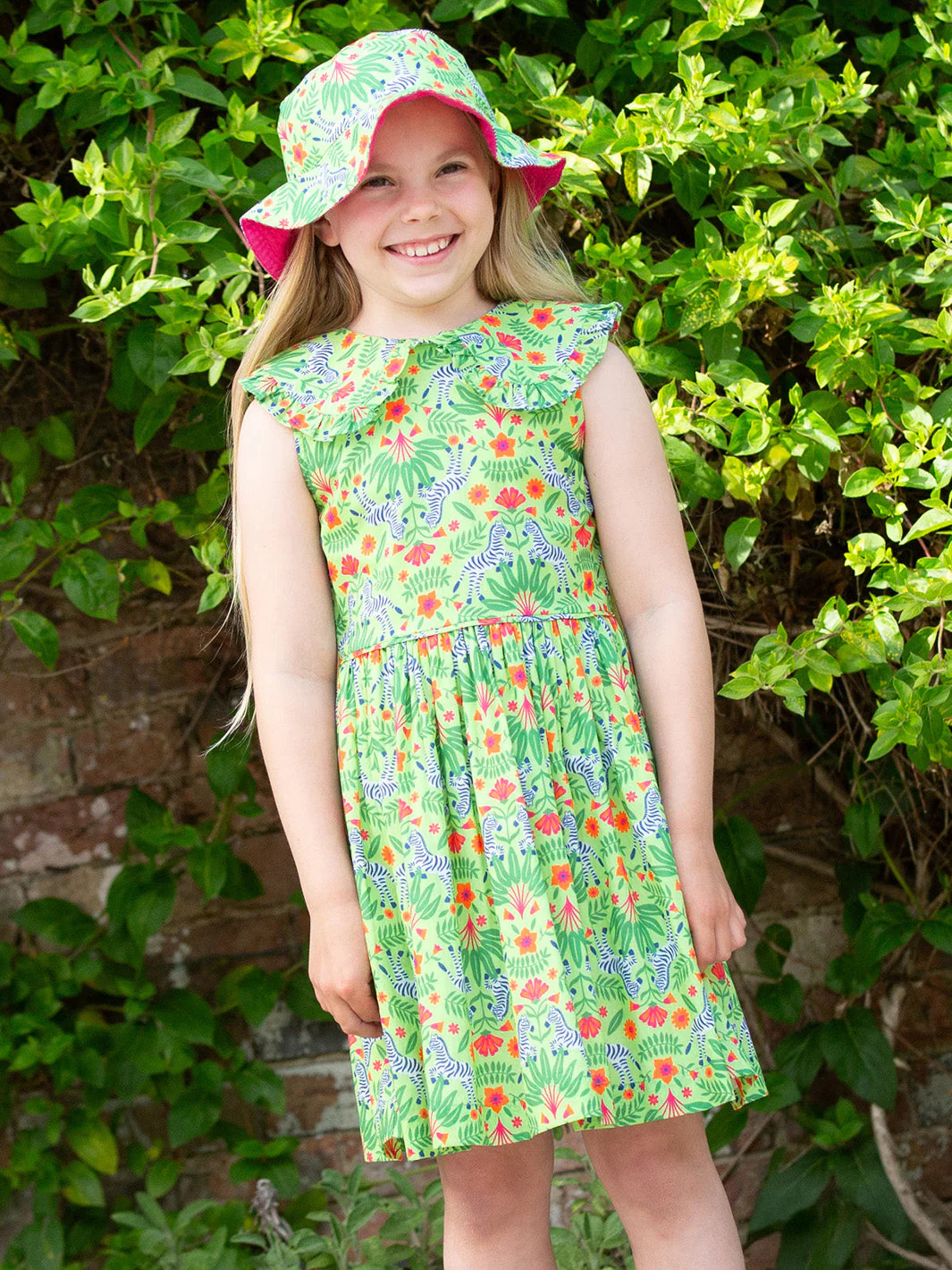 Dazzle Sonnenhut - Image 4