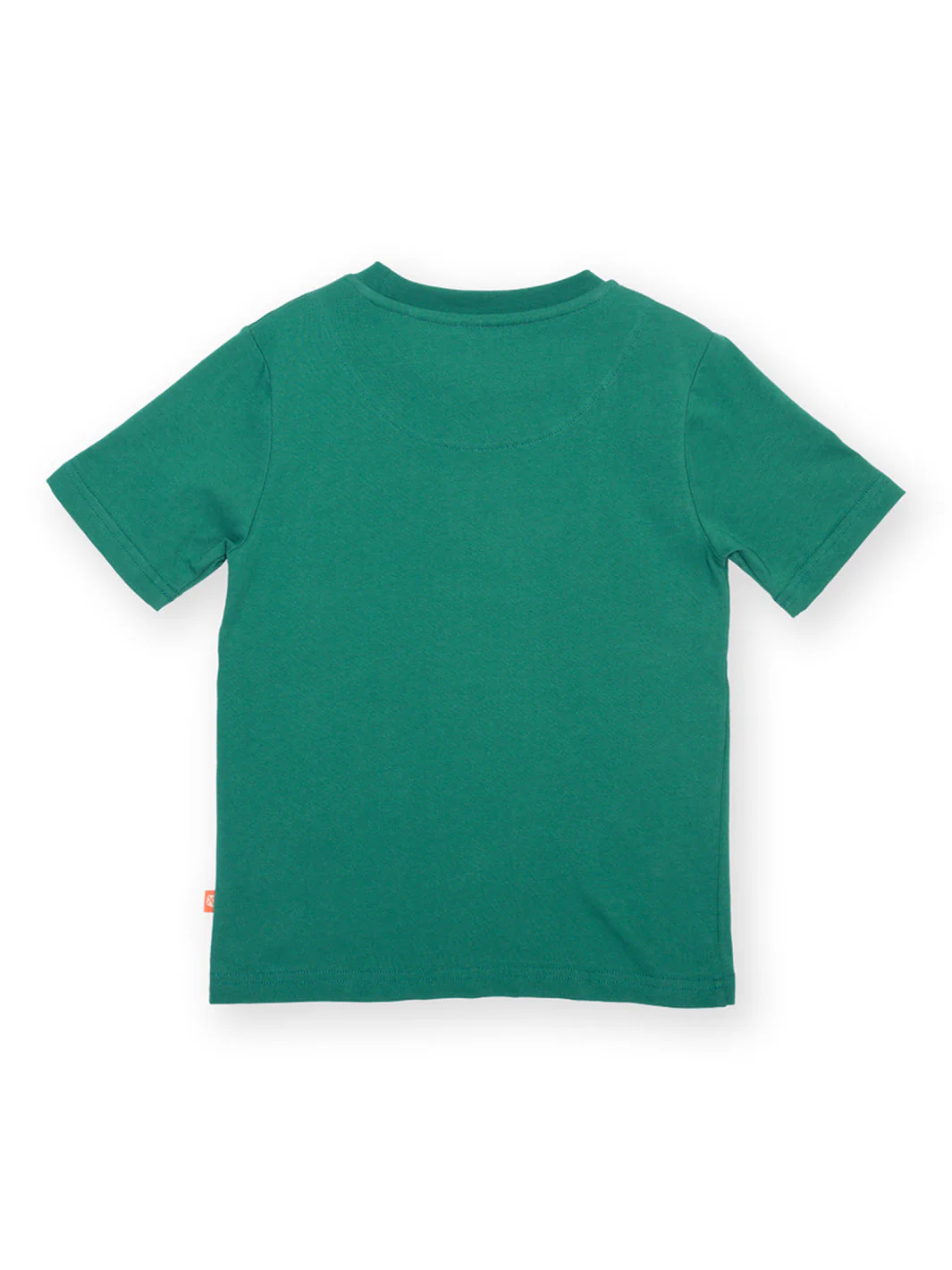 Dragon's Roar T-Shirt - Image 3
