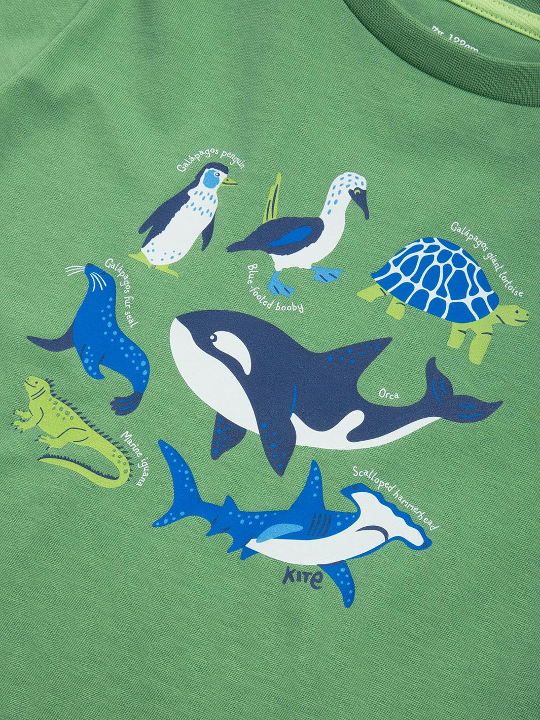 Galapagos T-Shirt - Image 4