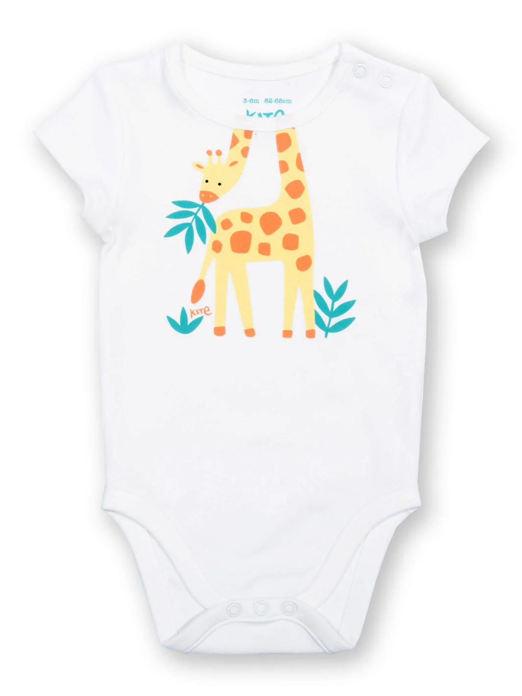 Hallo Giraffe Body