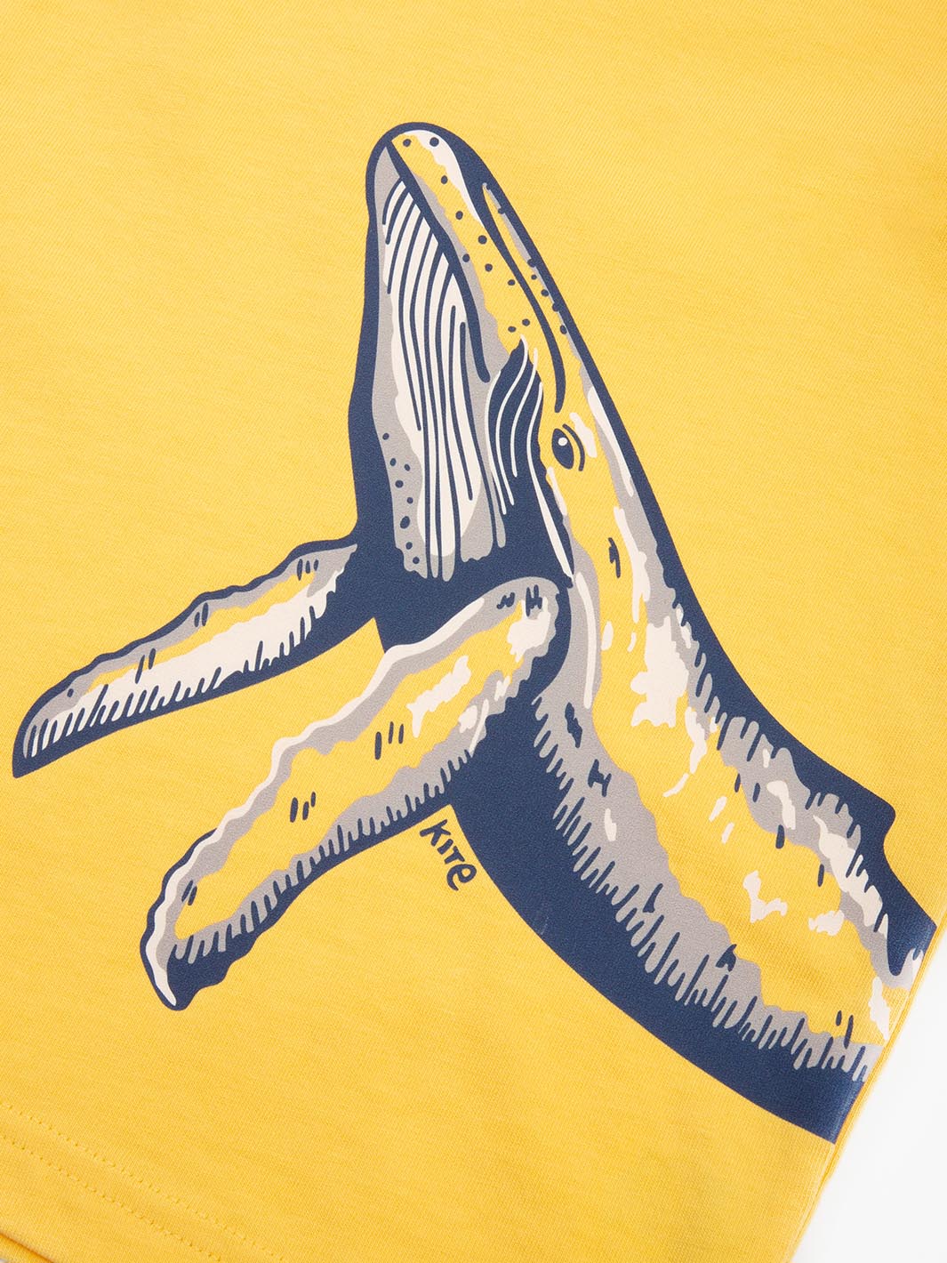 Humpback T-Shirt - Image 4