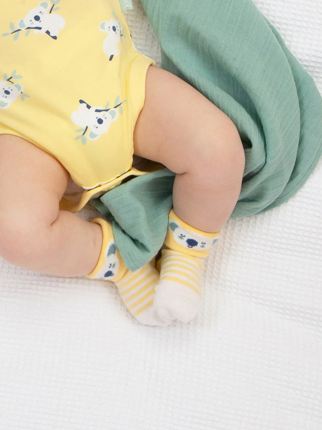 Koala Time Socken - Image 2