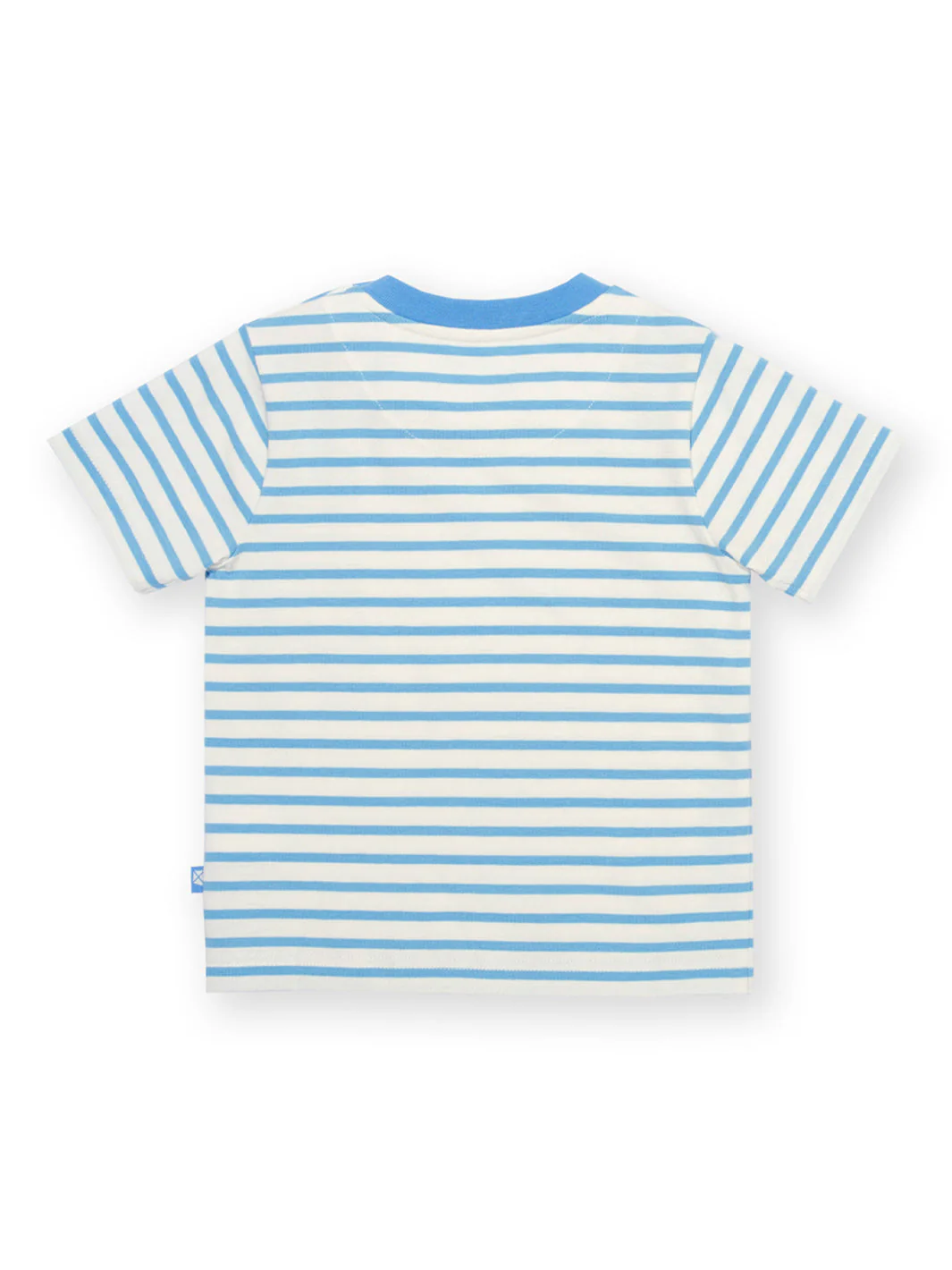 Little Turtle T-Shirt - Image 5