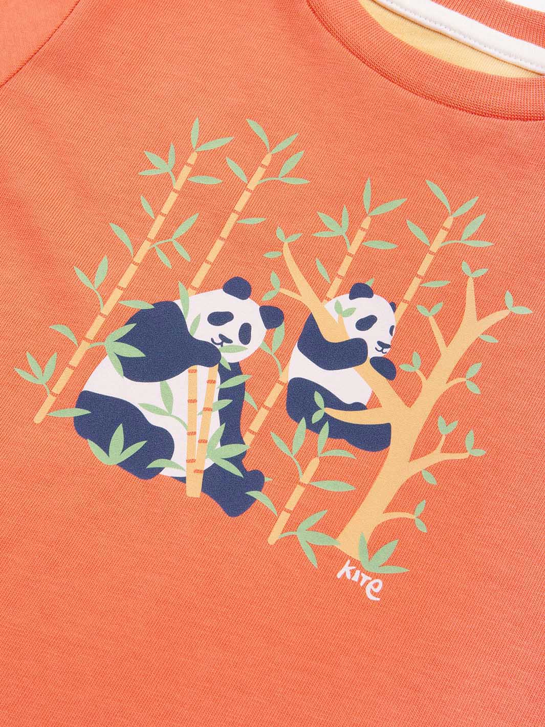 Panda Pals T-Shirt - Image 6
