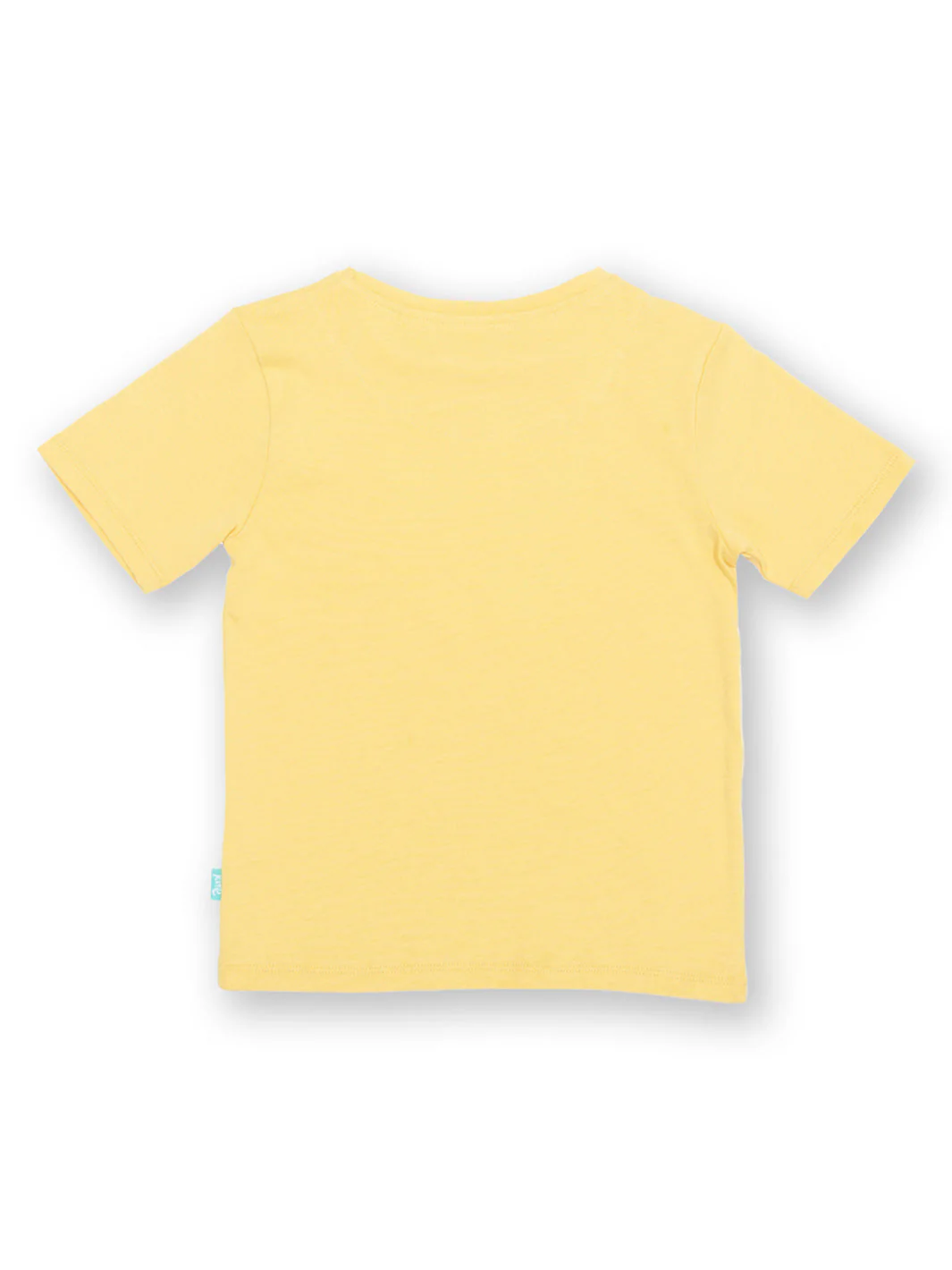 Shell Seeker T-Shirt - Image 4