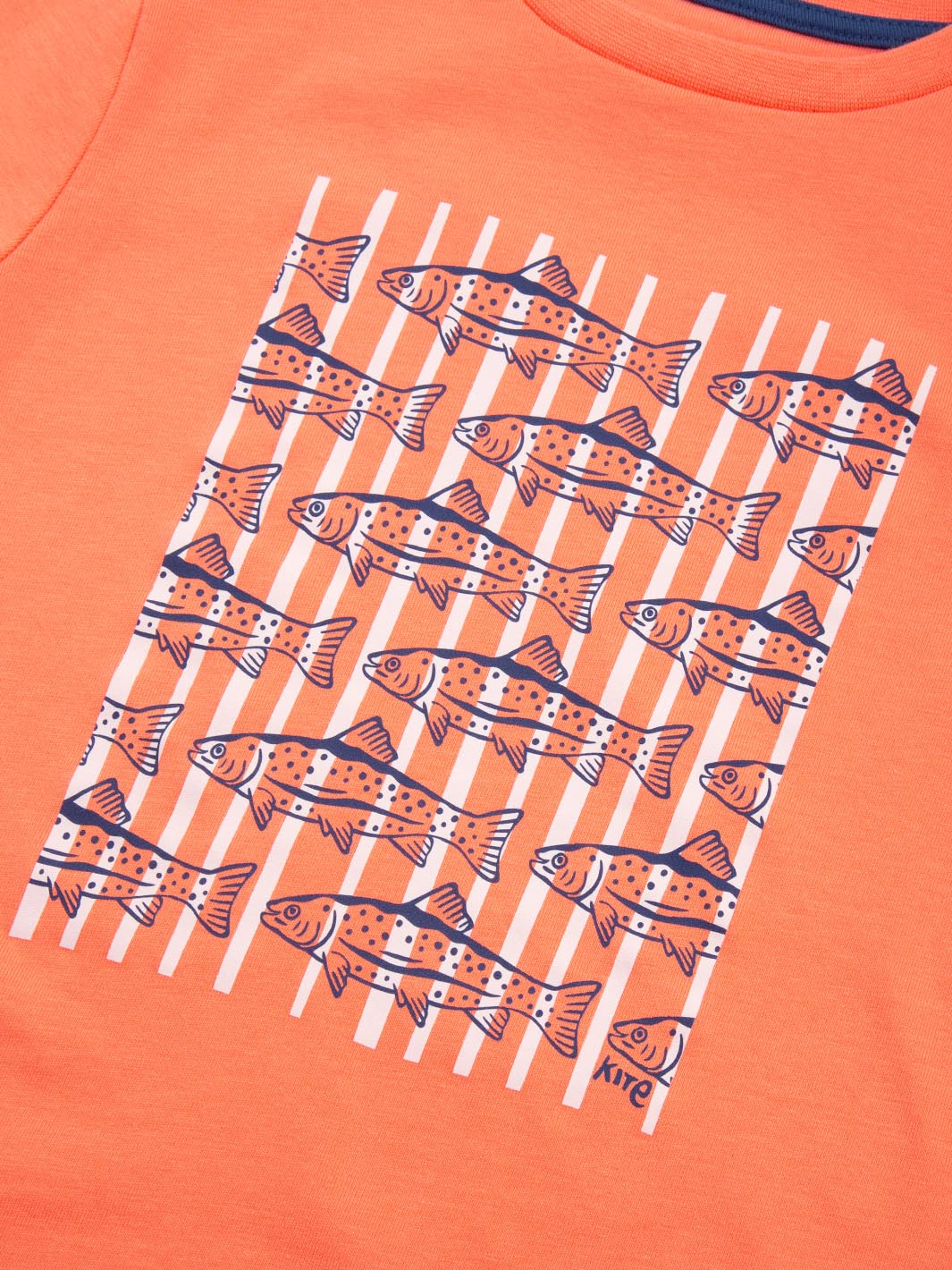 Trout And About T-Shirt - Image 6