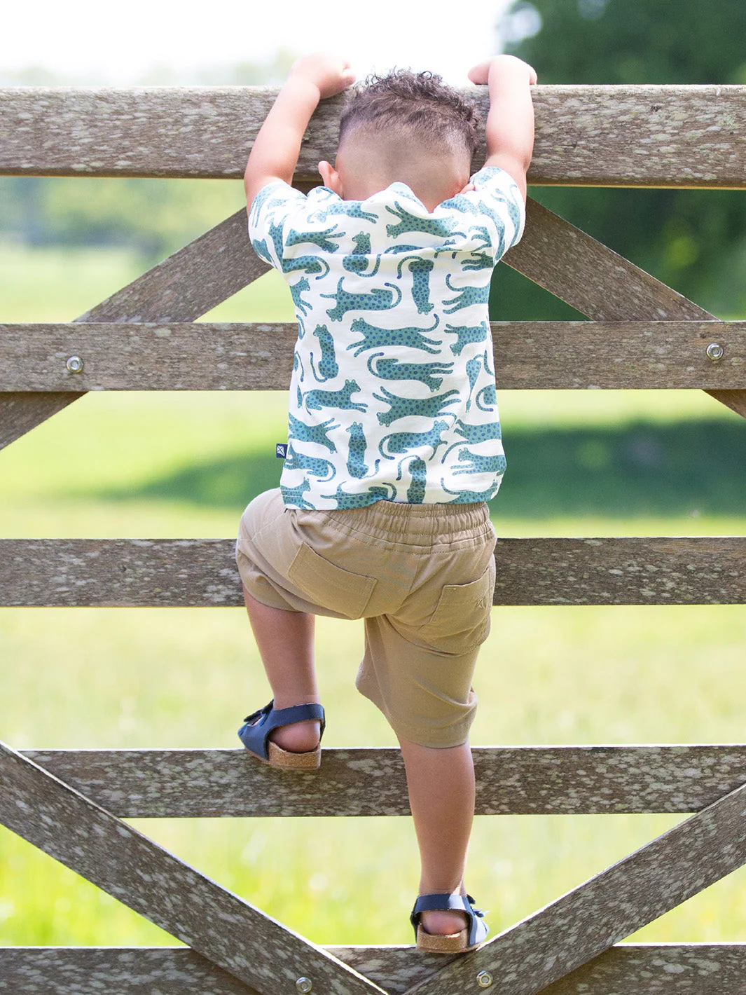 Yacht Shorts Sand - Image 4